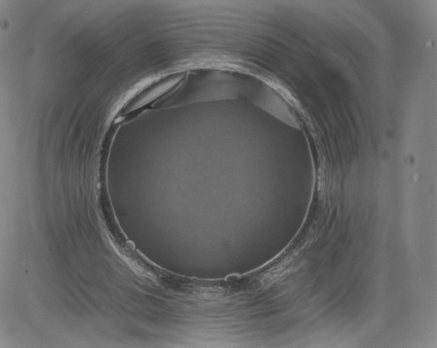 X0000080660438200612301339