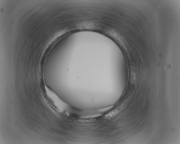 X0000080660439200612301339