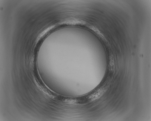 X0000080660440200612301339