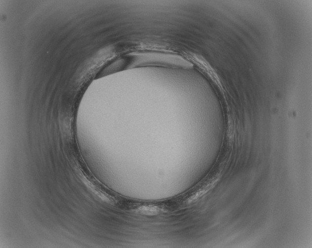 X0000080660441200612301339