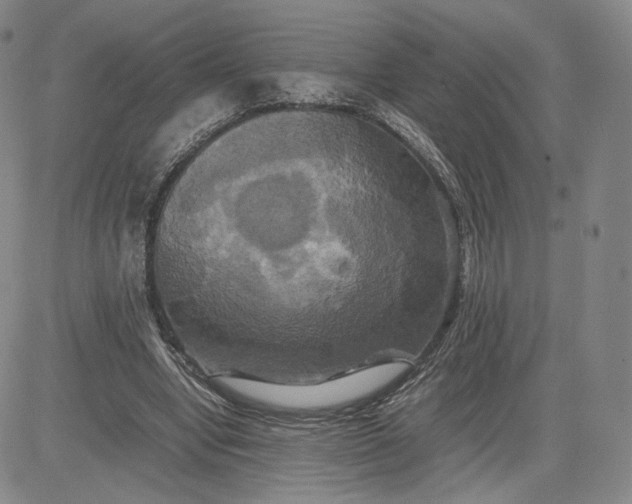 X0000080660442200612301339