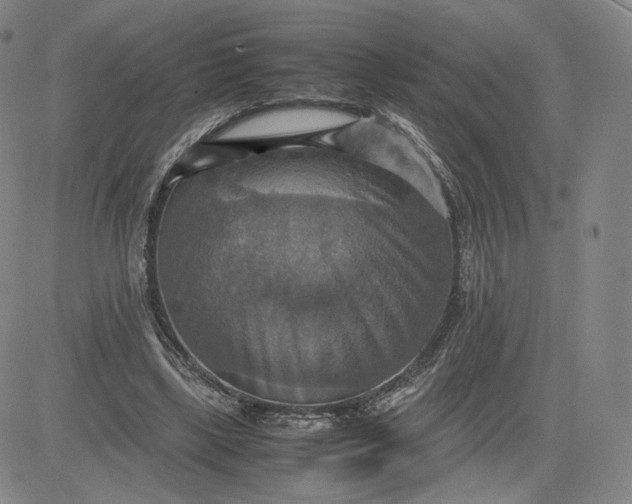 X0000080660443200612301339