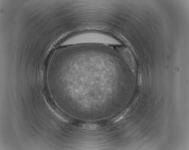 X0000080660444200612301339