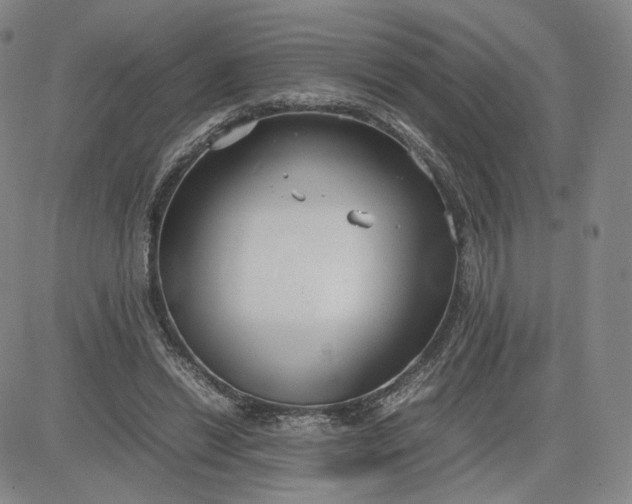 X0000080660446200612301339