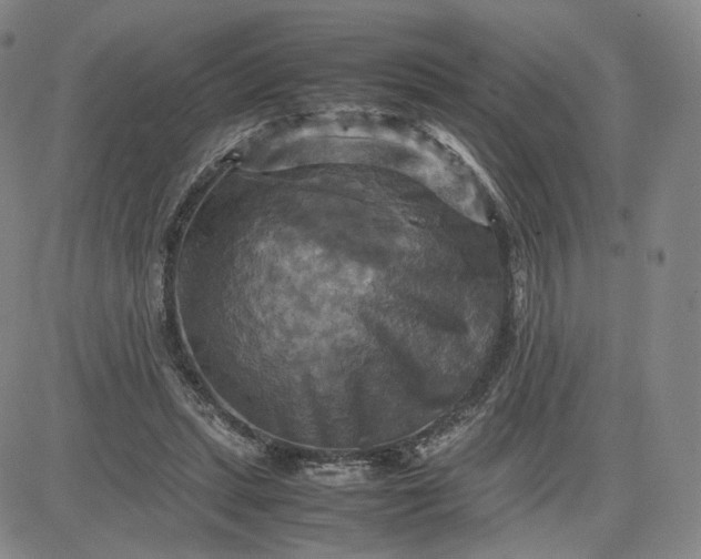 X0000080660447200612301339