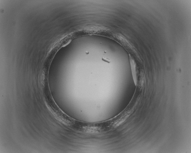 X0000080660448200612301339