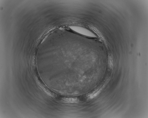 X0000080660449200612301339