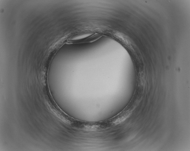 X0000080660450200612301339