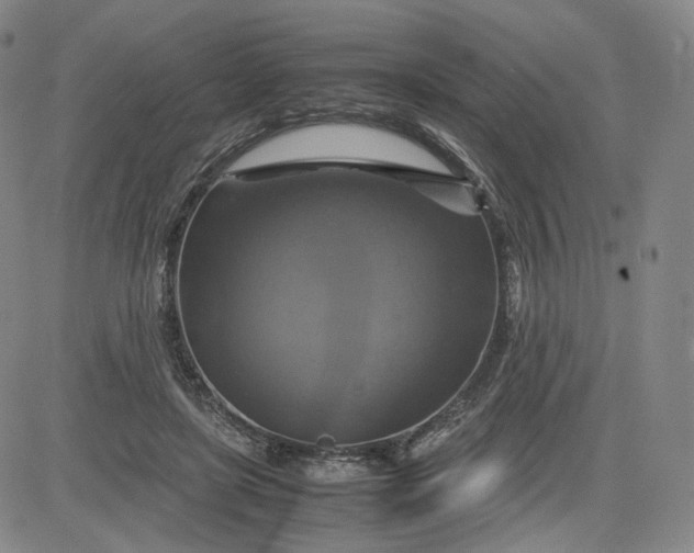 X0000080660451200612301339