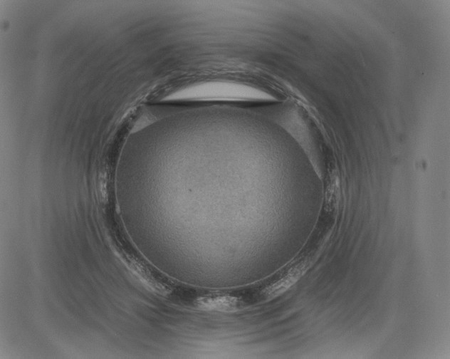 X0000080660452200612301339