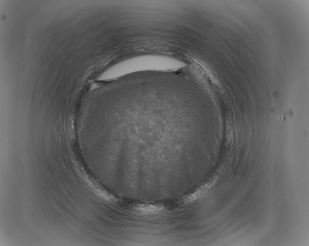 X0000080660453200612301339