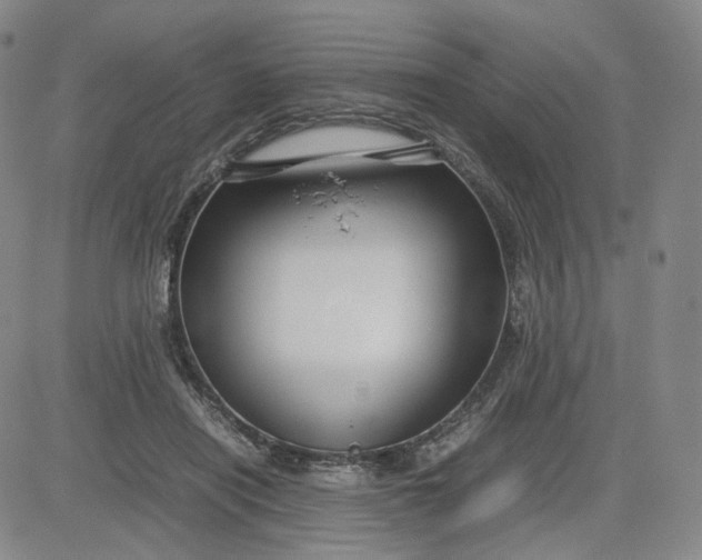 X0000080660454200612301339