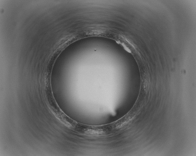 X0000080660455200612301339