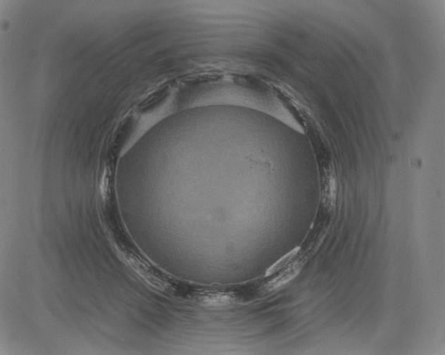 X0000080660456200612301339