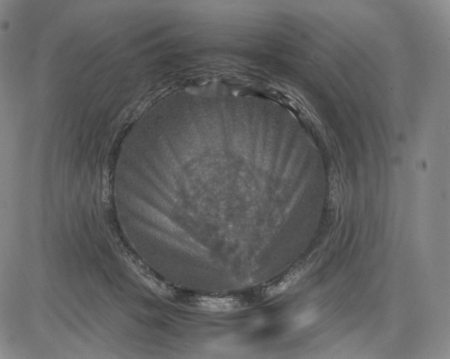 X0000080660457200612301339