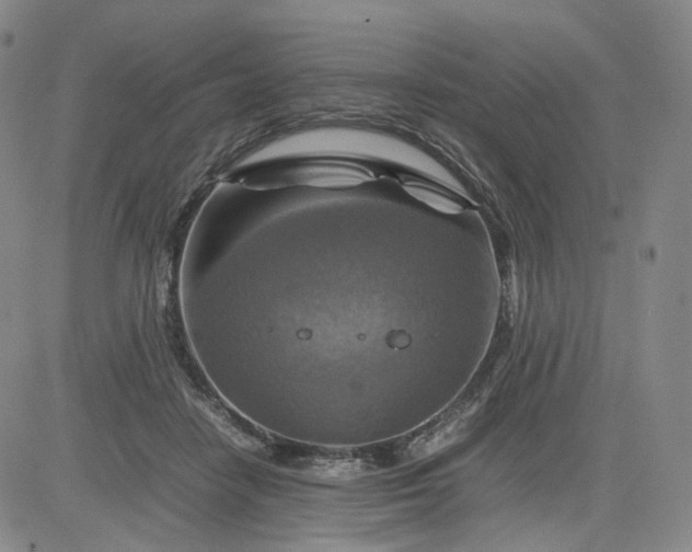 X0000080660458200612301339