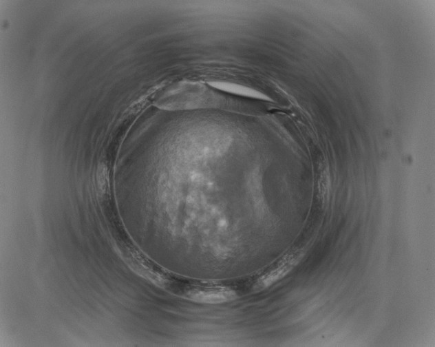 X0000080660459200612301339