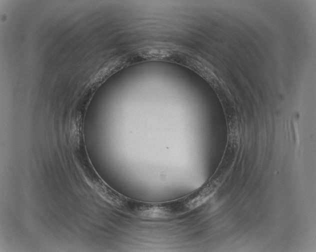 X0000080660460200612301339