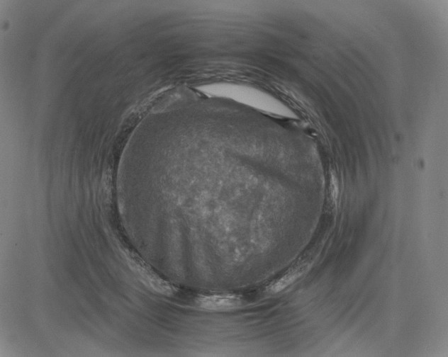 X0000080660461200612301339