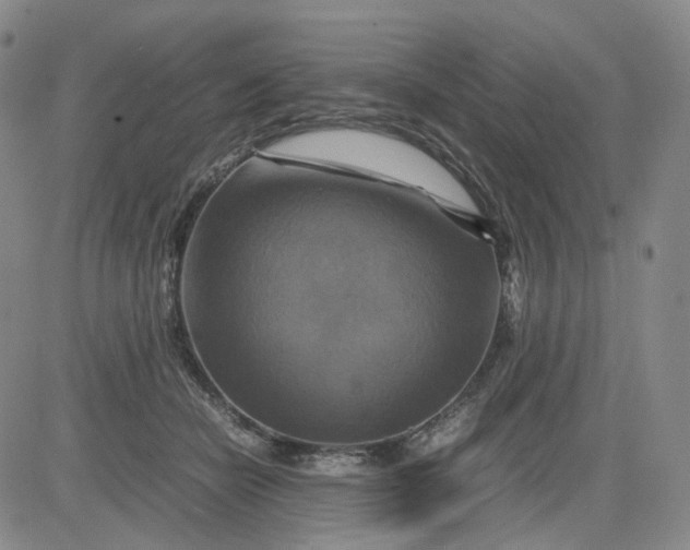 X0000080660462200612301339