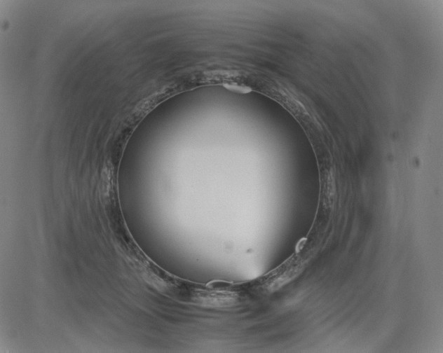 X0000080660463200612301339