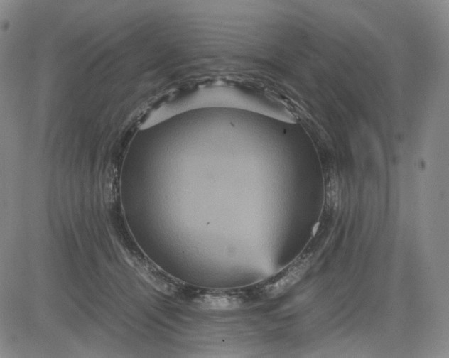 X0000080660464200612301339