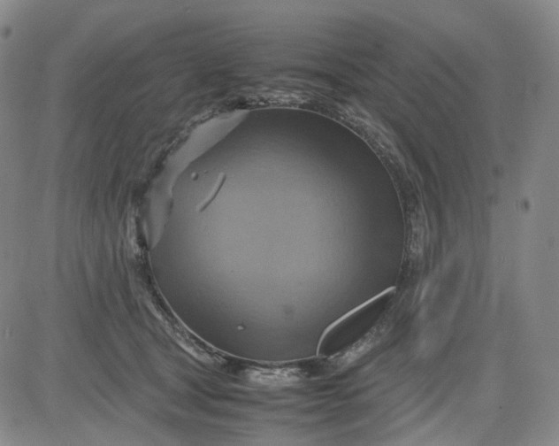 X0000080660465200612301339