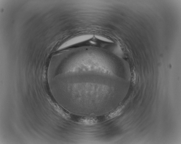 X0000080660466200612301339