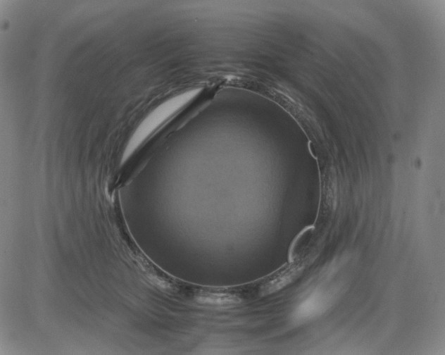 X0000080660467200612301339