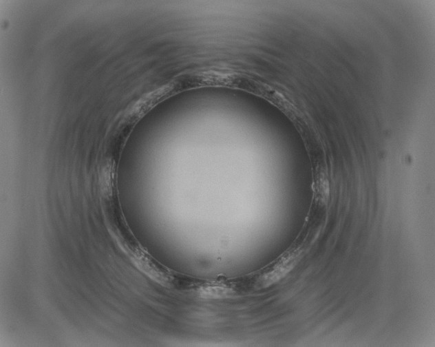 X0000080660468200612301339