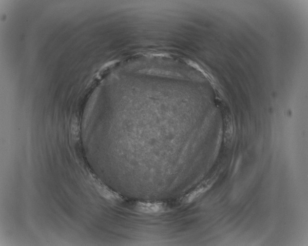 X0000080660469200612301340