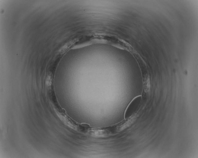 X0000080660472200612301340