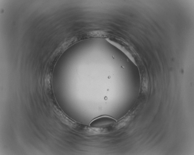 X0000080660473200612301340