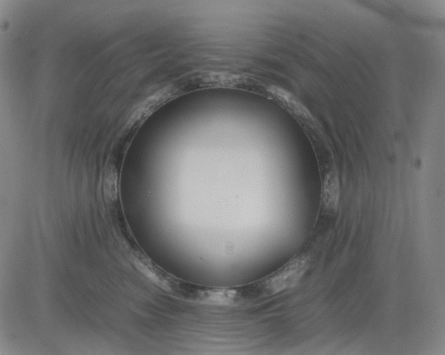 X0000080660474200612301340