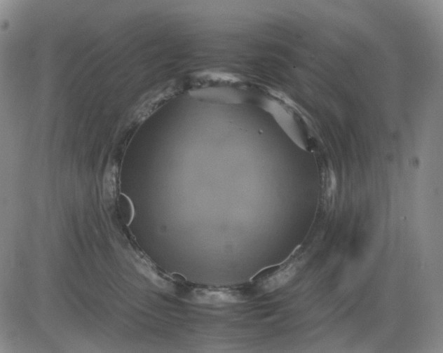 X0000080660475200612301340