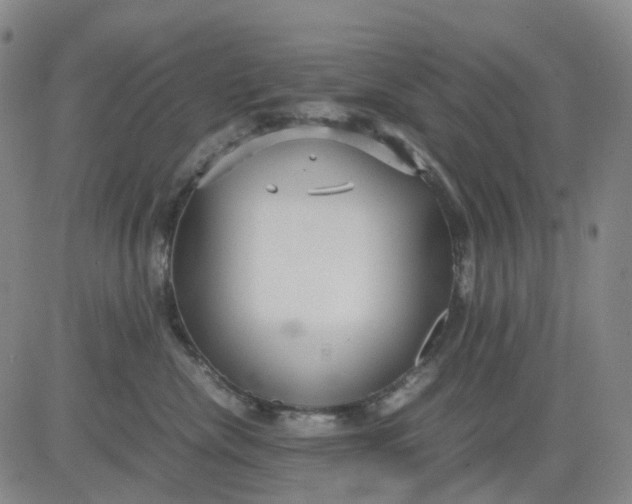 X0000080660476200612301340