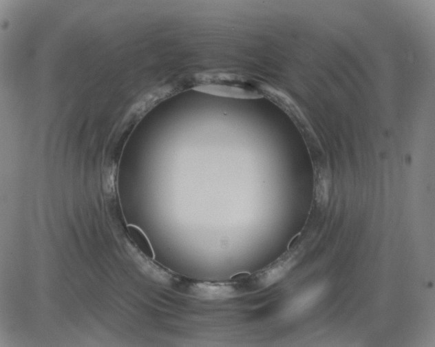 X0000080660477200612301340