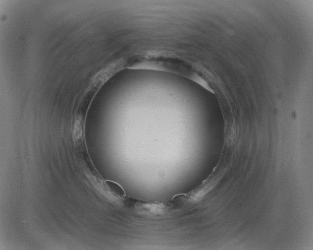 X0000080660478200612301340