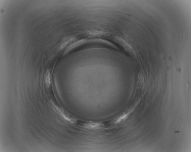 X0000080660479200612301340