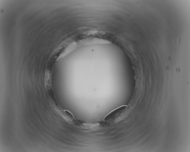 X0000080660480200612301340