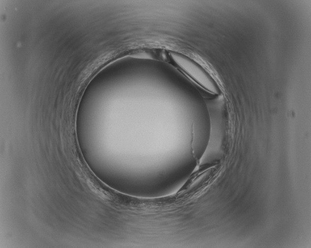 X0000080660481200612301339