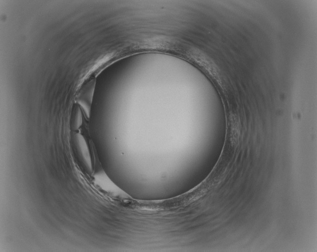 X0000080660482200612301339