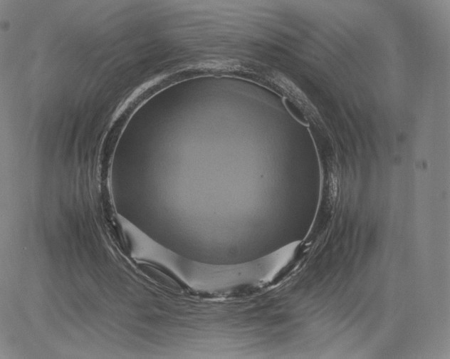 X0000080660484200612301339