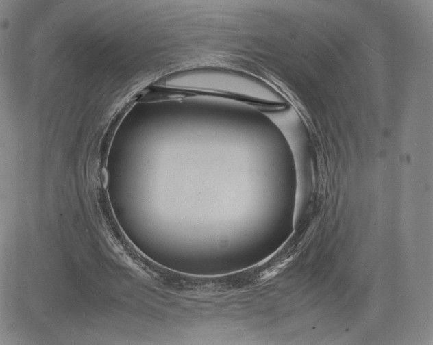 X0000080660485200612301339