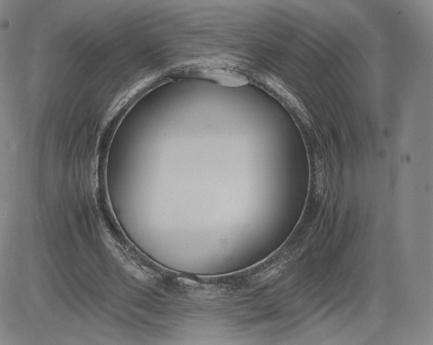 X0000080660486200612301339