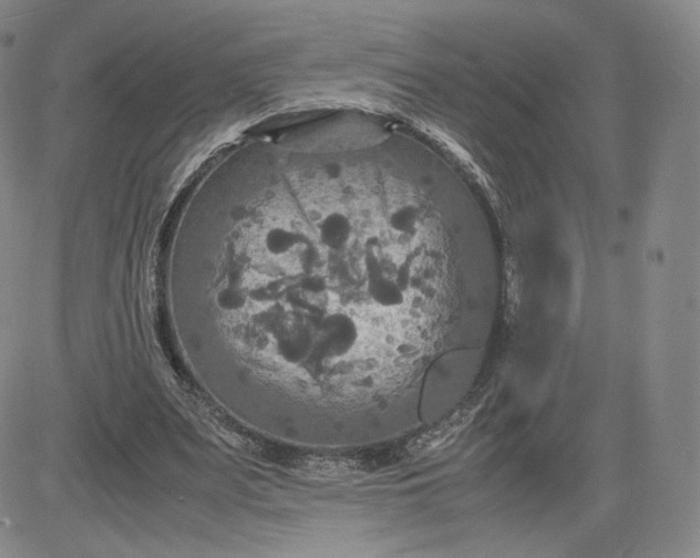 X0000080660487200612301339