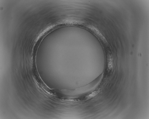 X0000080660488200612301339