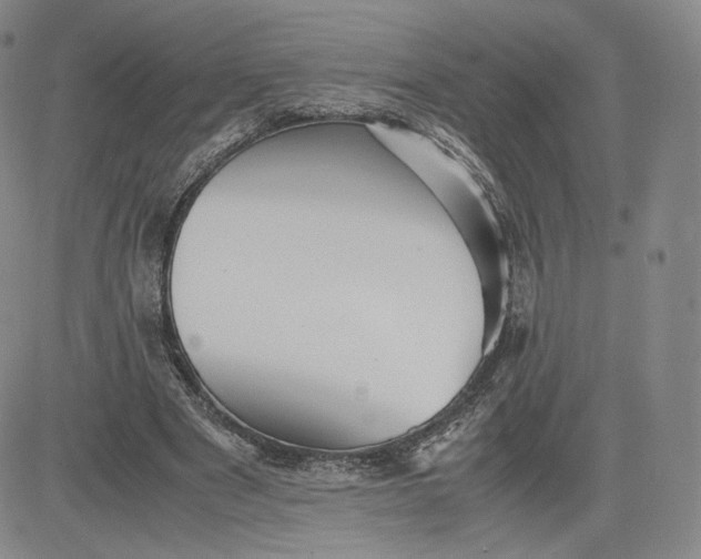 X0000080660489200612301339