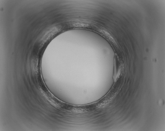 X0000080660490200612301339