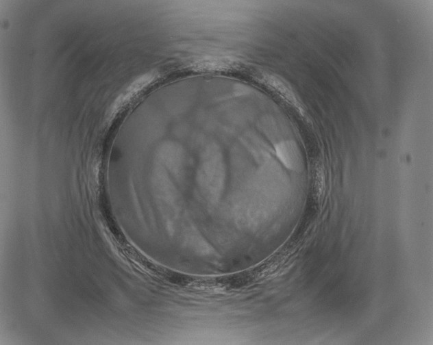 X0000080660491200612301339